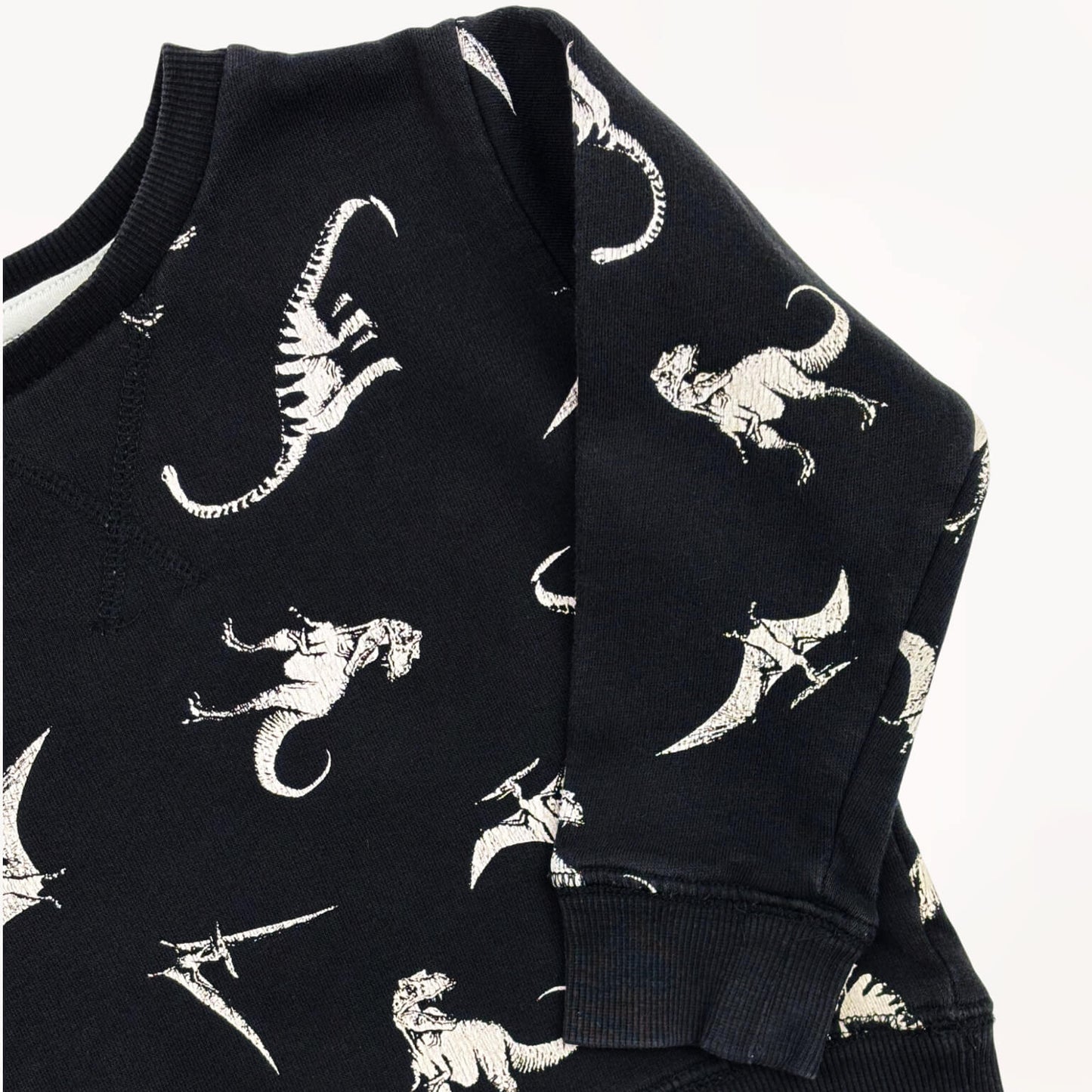 Sweater dino's H&M 2 jaar