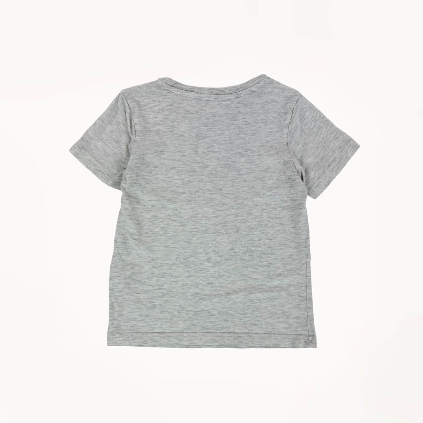 Grijze t-shirt, graphic print v. vissen⎪104