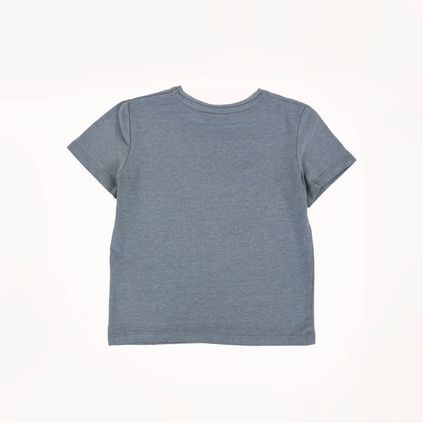 Blauw shirt "Boy, Noise w/ dirt on it"⎪104