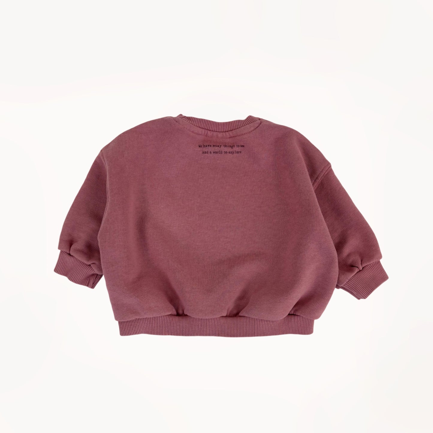 Roze sweater "world to explore" Zara 6 maanden