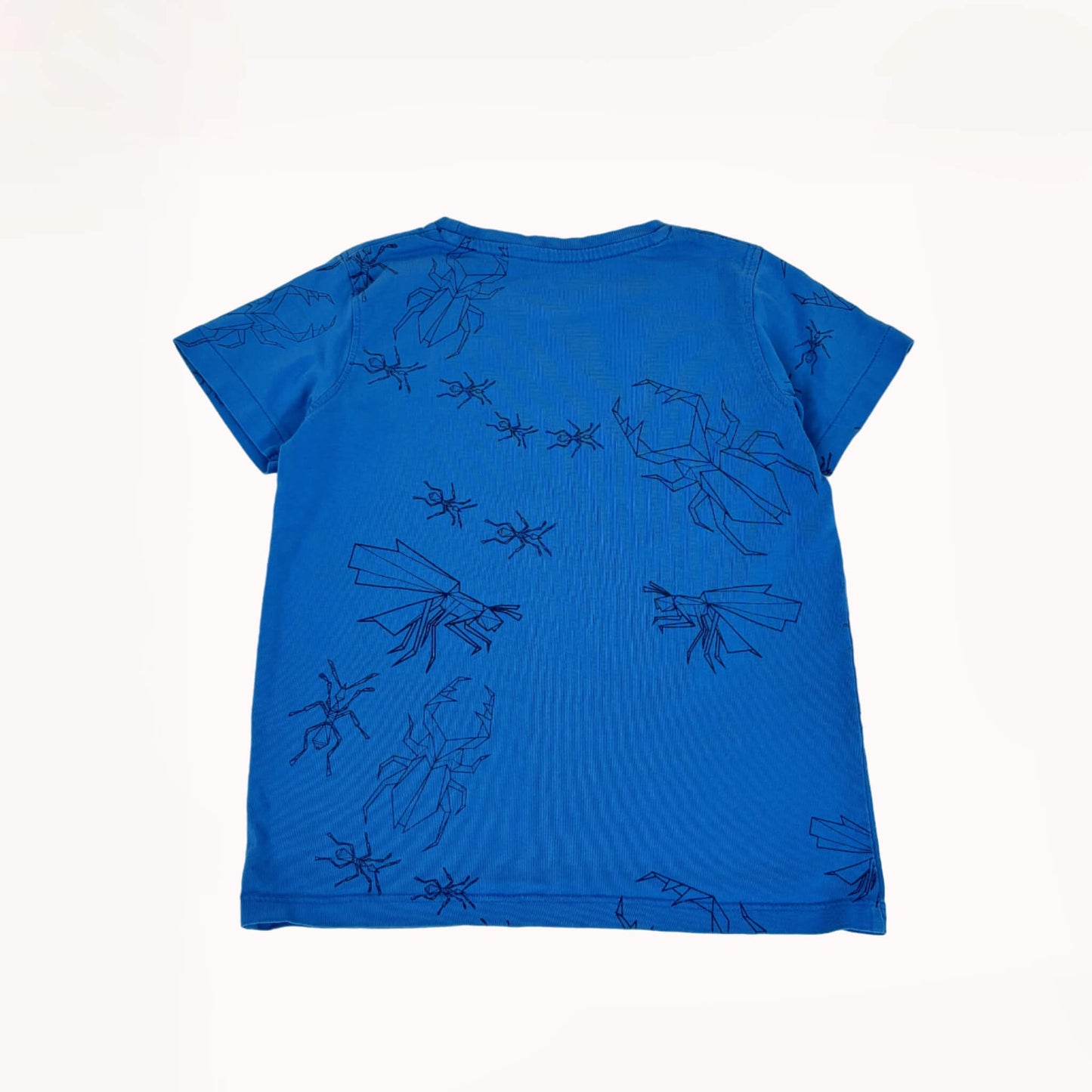 T-shirt met spinnen & insecten⎪110/116