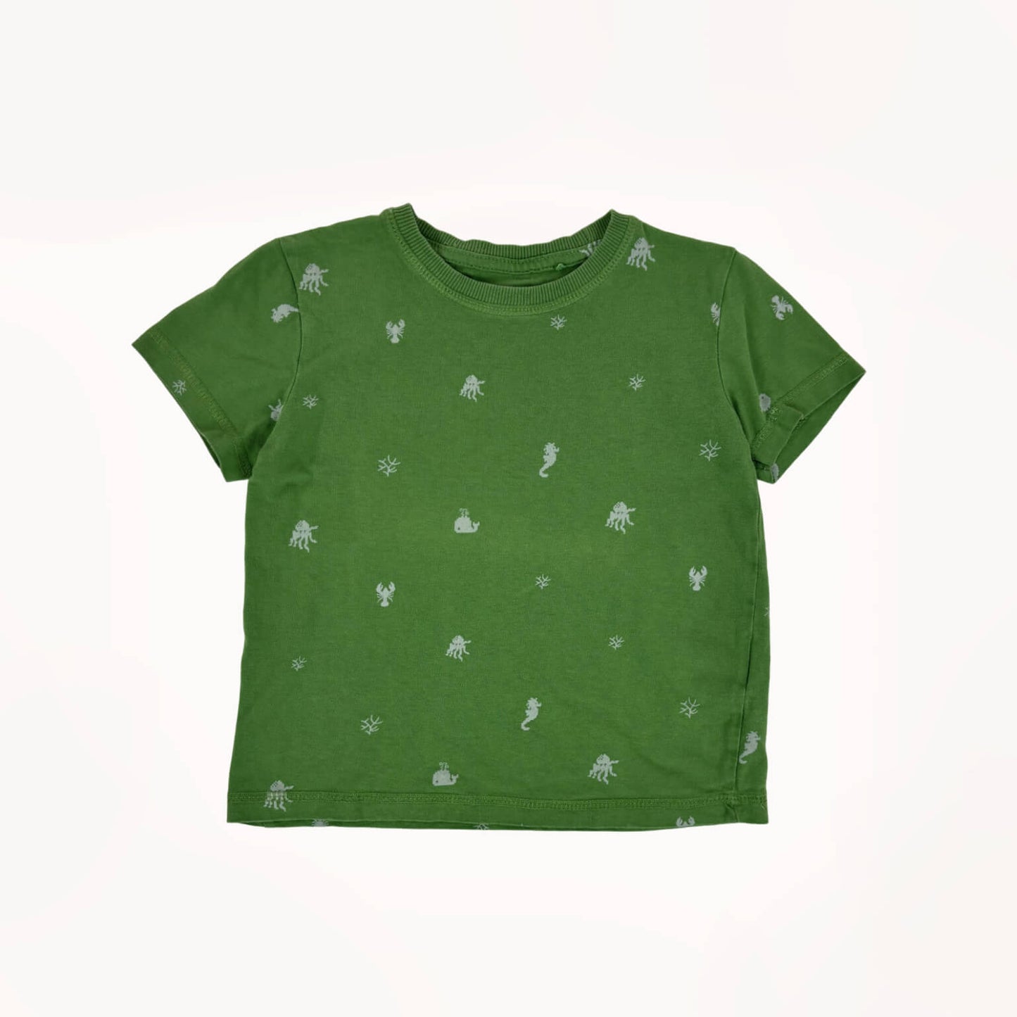 Groen T-shirt met zeediertjes⎪110