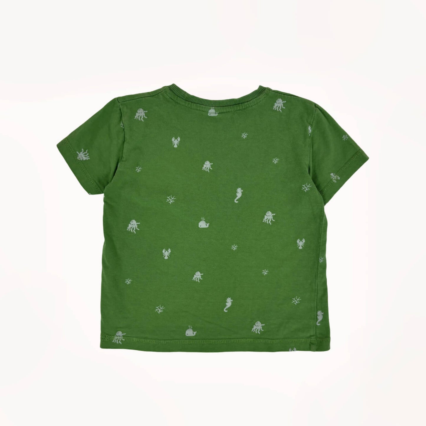 Groen T-shirt met zeediertjes⎪110