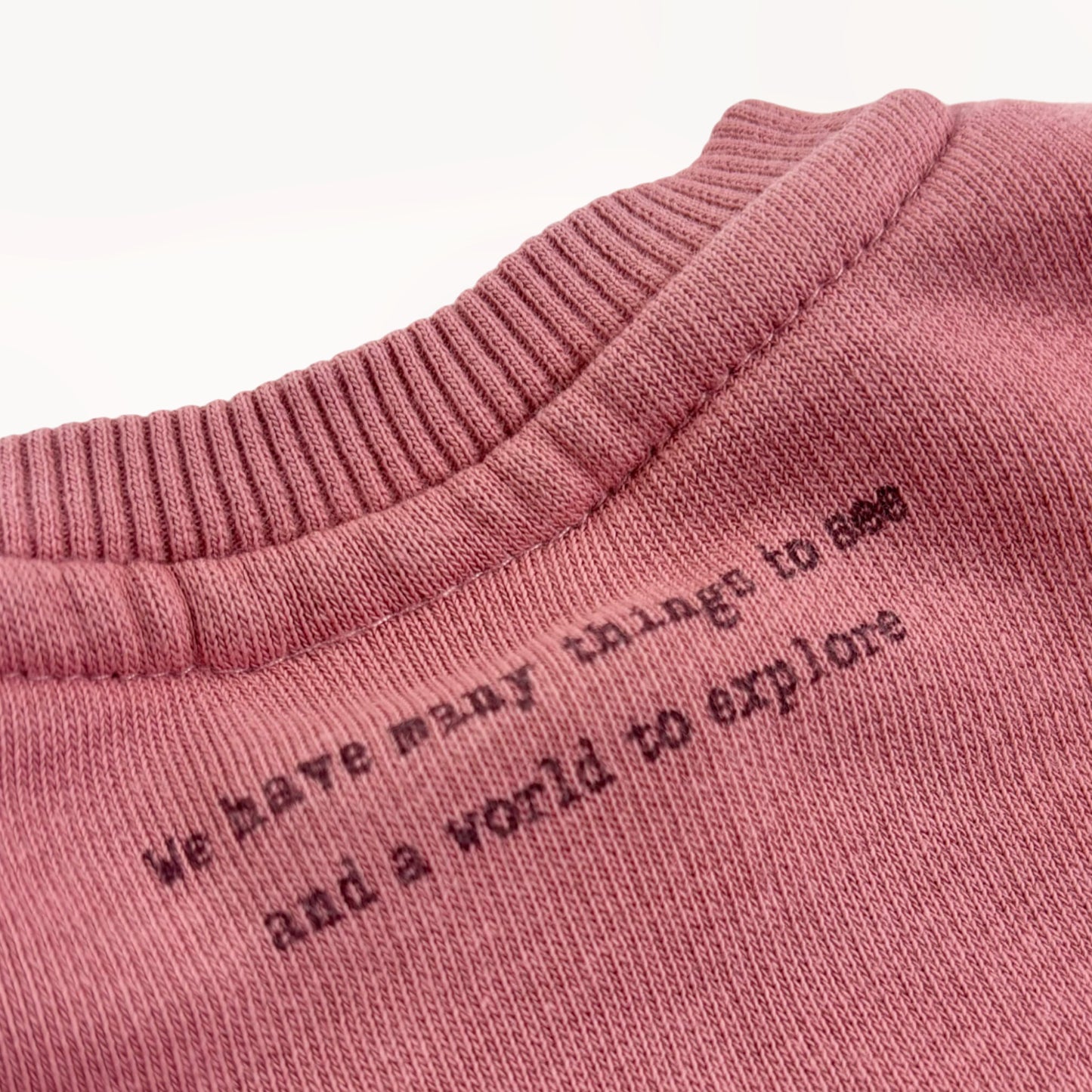 Roze sweater "...world to explore"⎪68