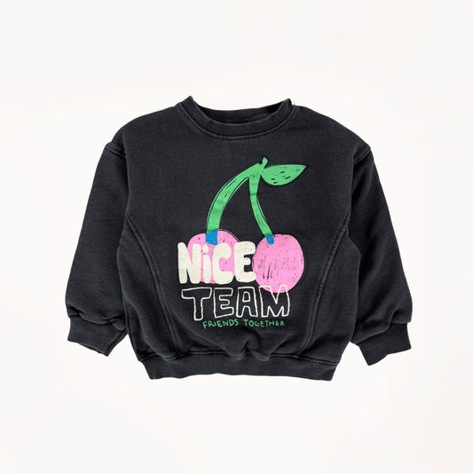 Donker grijze sweater, Pink Cherry, "Friends together"⎪104